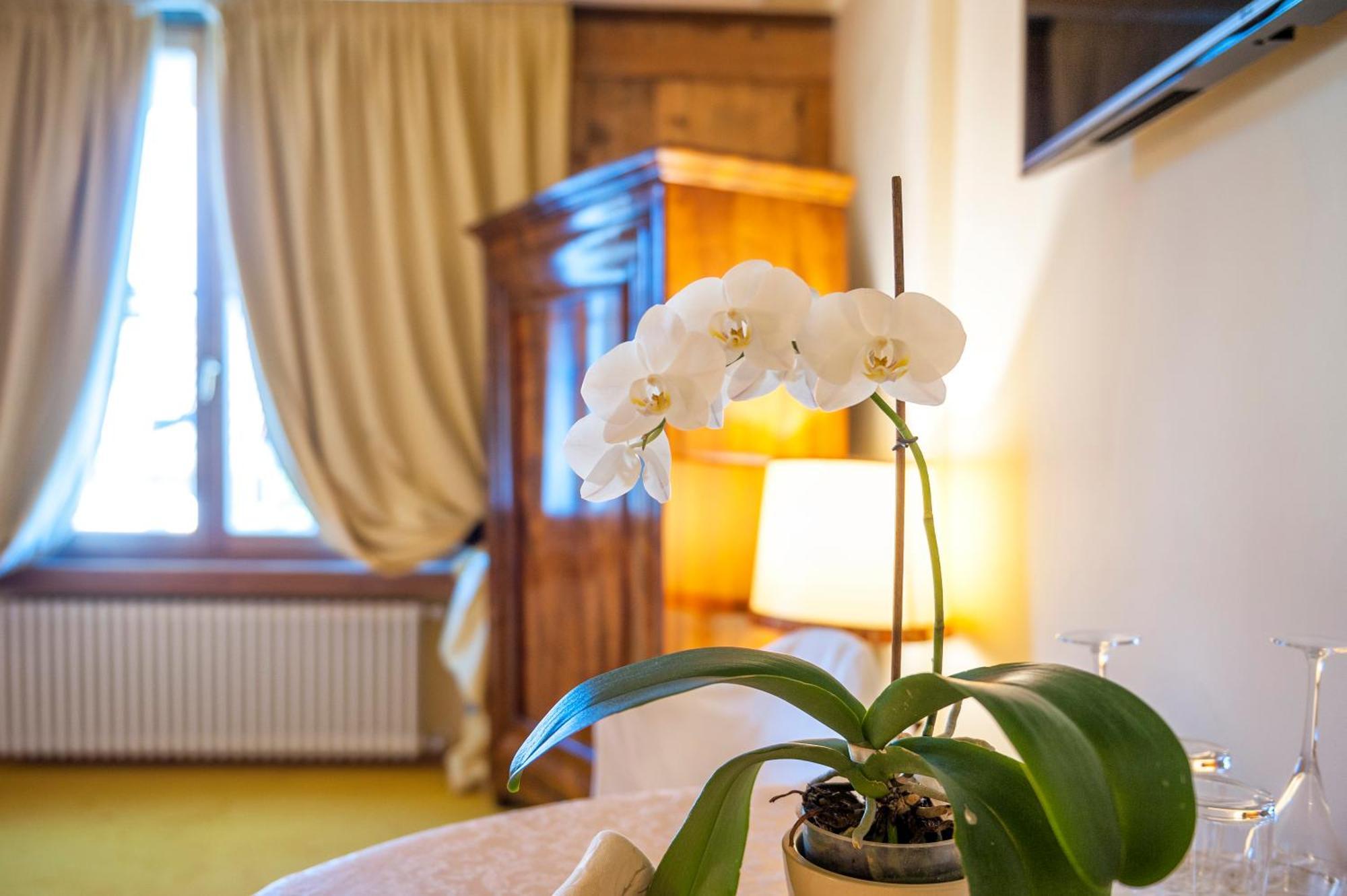 Villa Orso Grigio Ronzone Eksteriør bilde